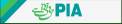 PAKISTAN INTERNATIONAL AIRLINES