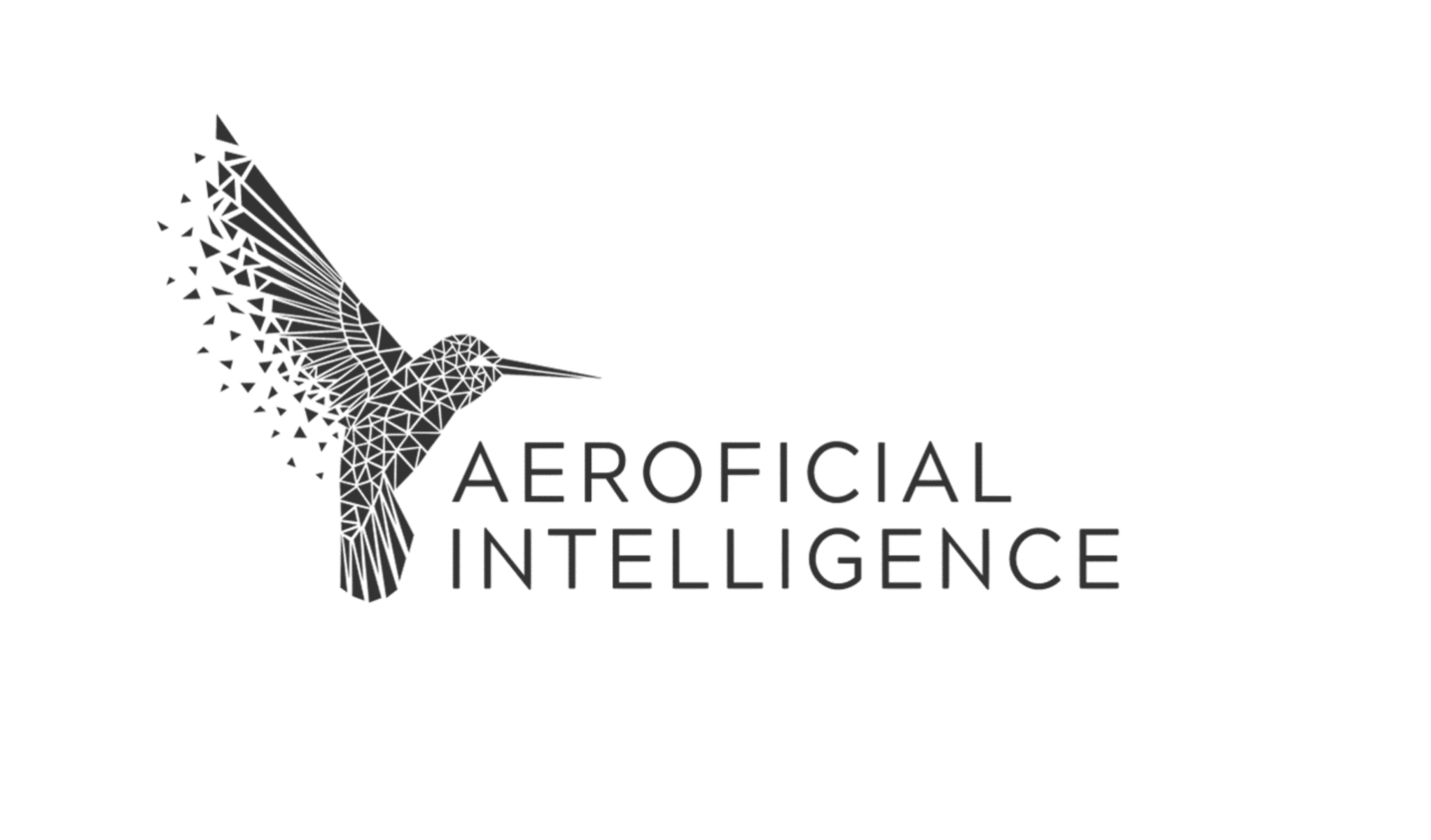 Immagine Sito: Aeroficial Intelligence